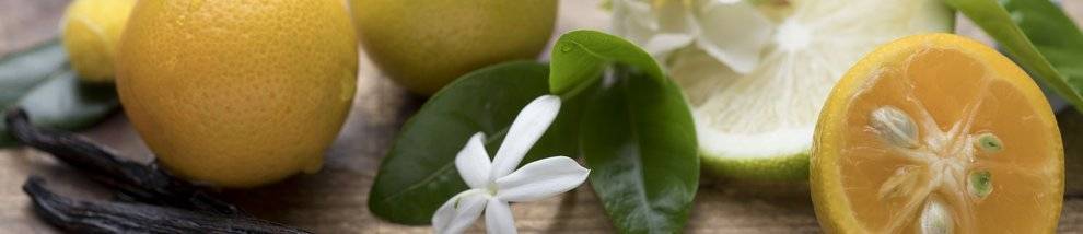 Citrus Blossom