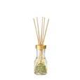 Mini Aroma Lavender - Apple