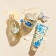 Discovery Gift Set Wonders of Jasmine