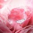 Rose water Gelée
