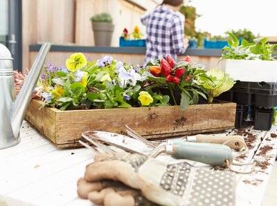Make your own city garden!