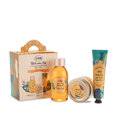 Set Welcome Papaya Loquat