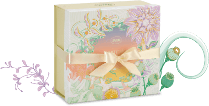 White Tea Celebration Hair Care – Gift Set
