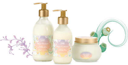 White Tea Celebration Hair Care – Gift Set