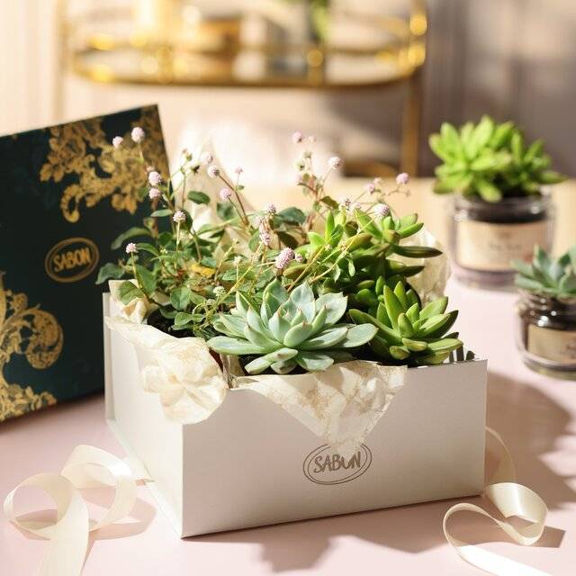 Acesta este semnul tău să oferi o viață nouă deosebitelor cutii Sabon! 🪴 Amintirea unui cadou minunat poate fi transformată atââât de ușor într-o nouă căsuță pentru plantele preferate!   Tu ce faci de obicei cu toate cutiile de cadou rămase?
